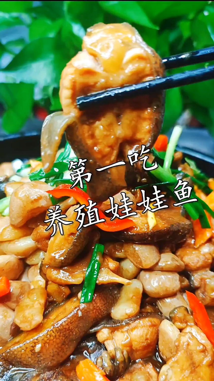 养殖娃娃鱼怎么做