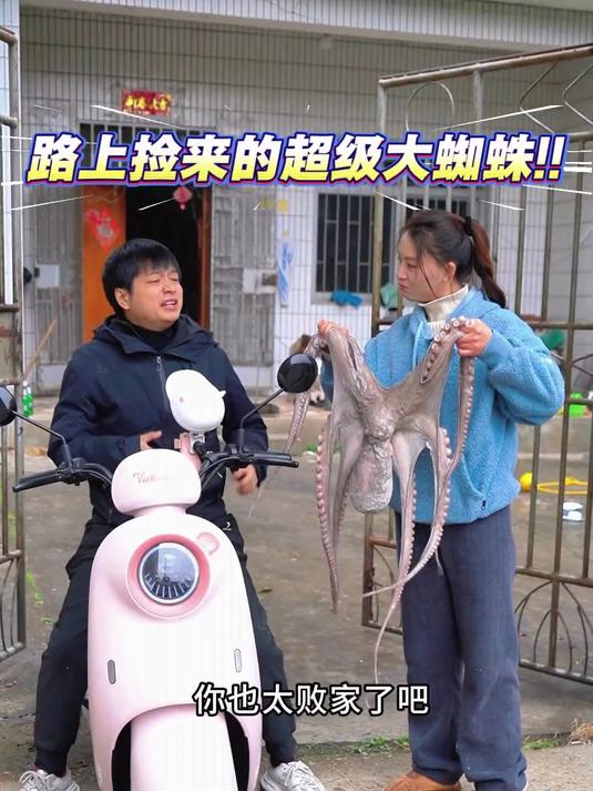 看起来很吓人像蜘蛛的八爪鱼，被雨霞做成美食还挺好吃的