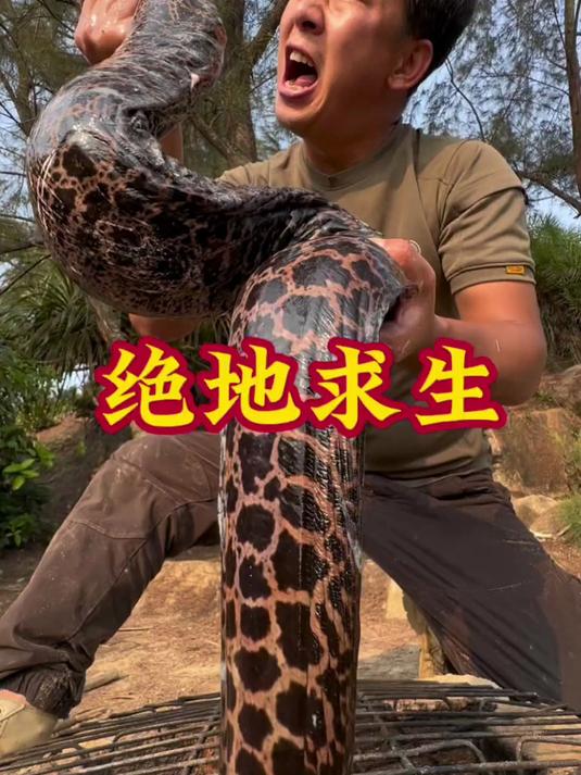 荒岛求生 赶海,灯笼鱼笼上大货