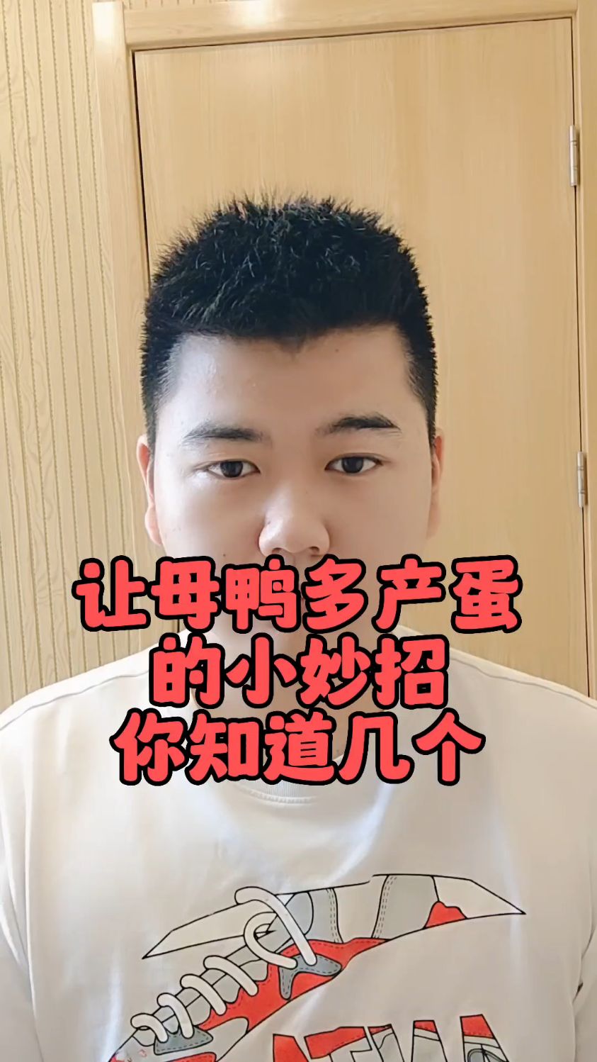 #蛋鸭的饲养与管理技术蛋鸭产蛋率上不去的原因鸭子吃什么产蛋率最高鸭子怎样喂才会产蛋