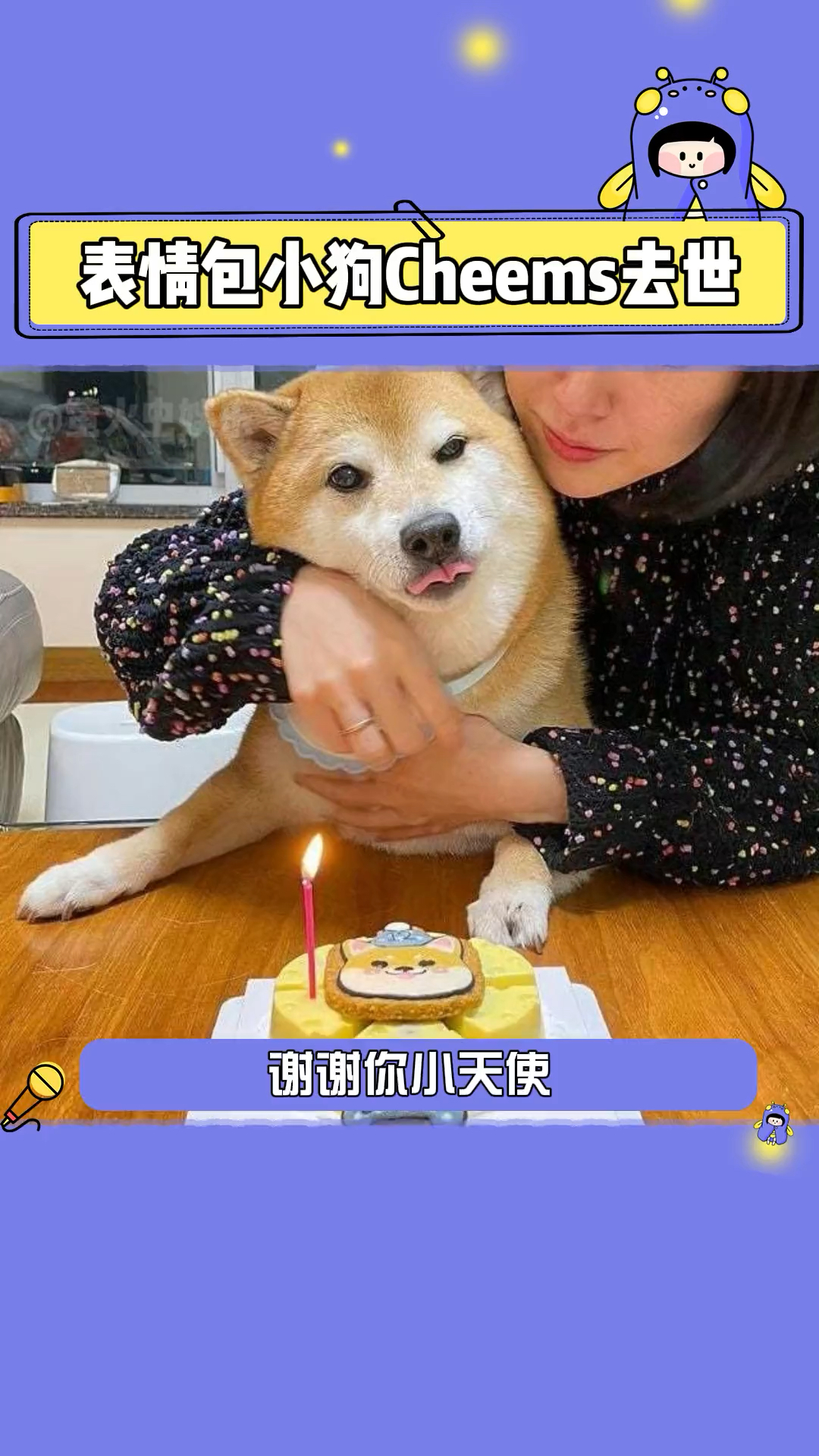 表情包小狗Cheems去汪星了