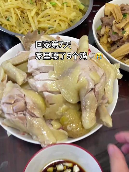 白切鸡蘸沙姜,鸡油拌饭香到跺