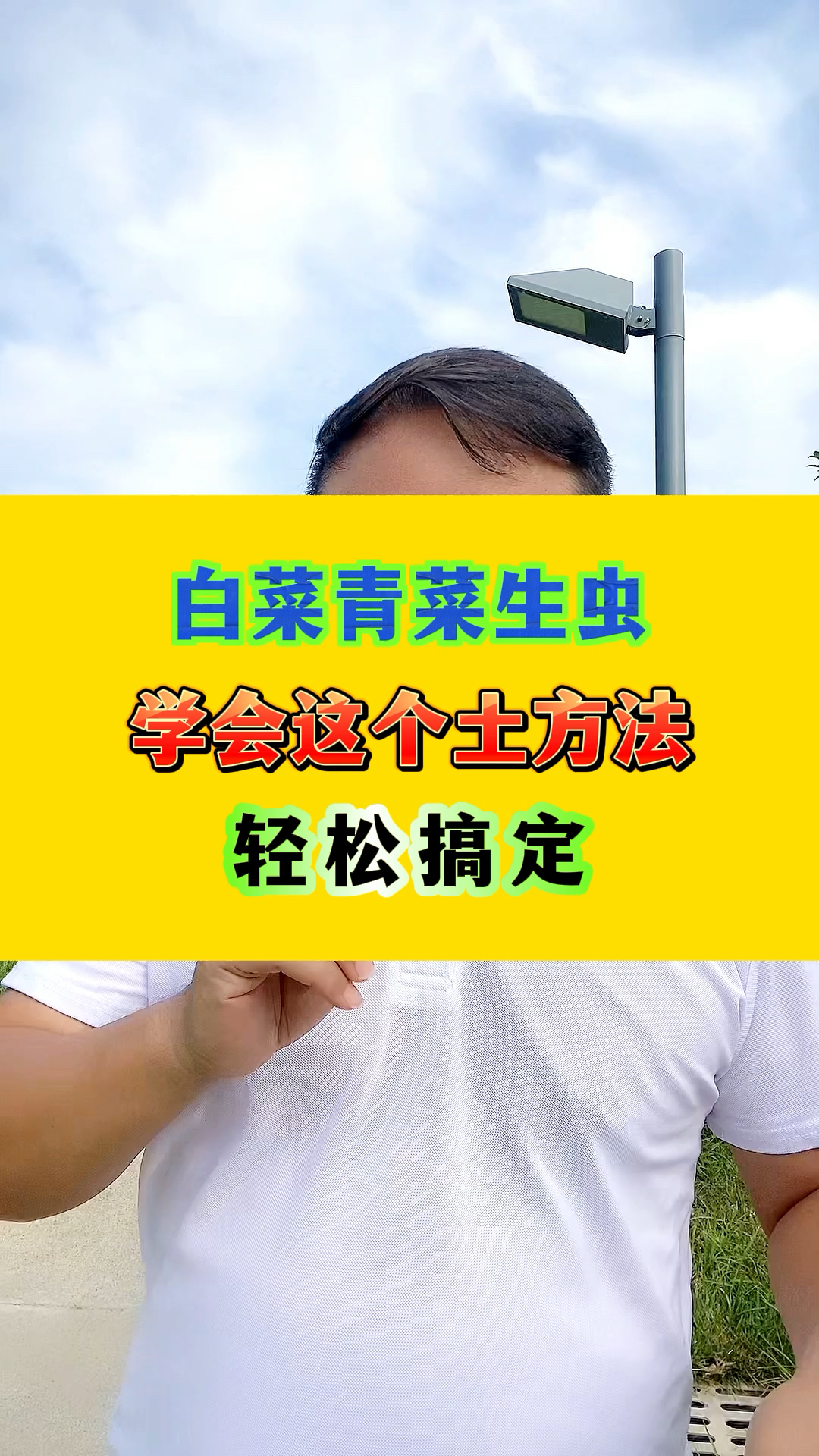 白菜青菜生虫子,学会这个土方法,轻松搞定!