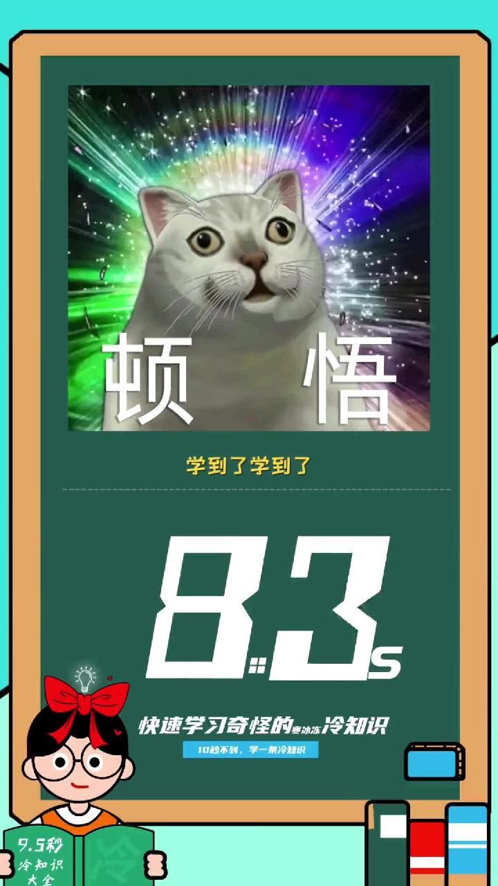 冷知识:原来招财猫是分左右手的