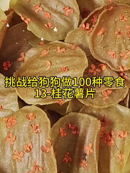 小熊干果机挑战给狗狗种零食,这次做桂花薯片