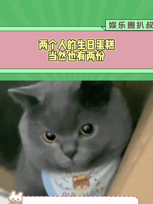 两个人的生日蛋糕当然也有两份