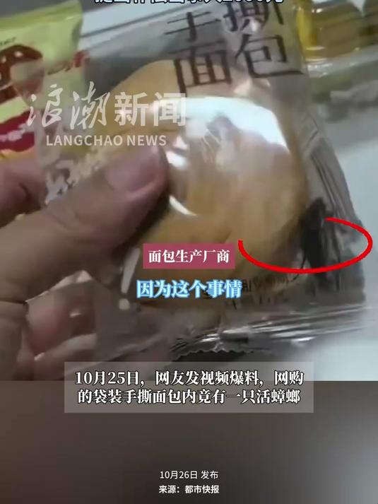 网友曝9月26日产的袋装面包现活体蟑螂 无明显撕开痕迹