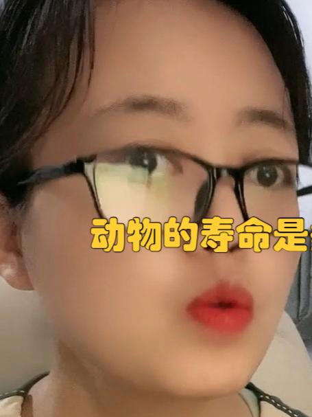 动物的寿命是多久?