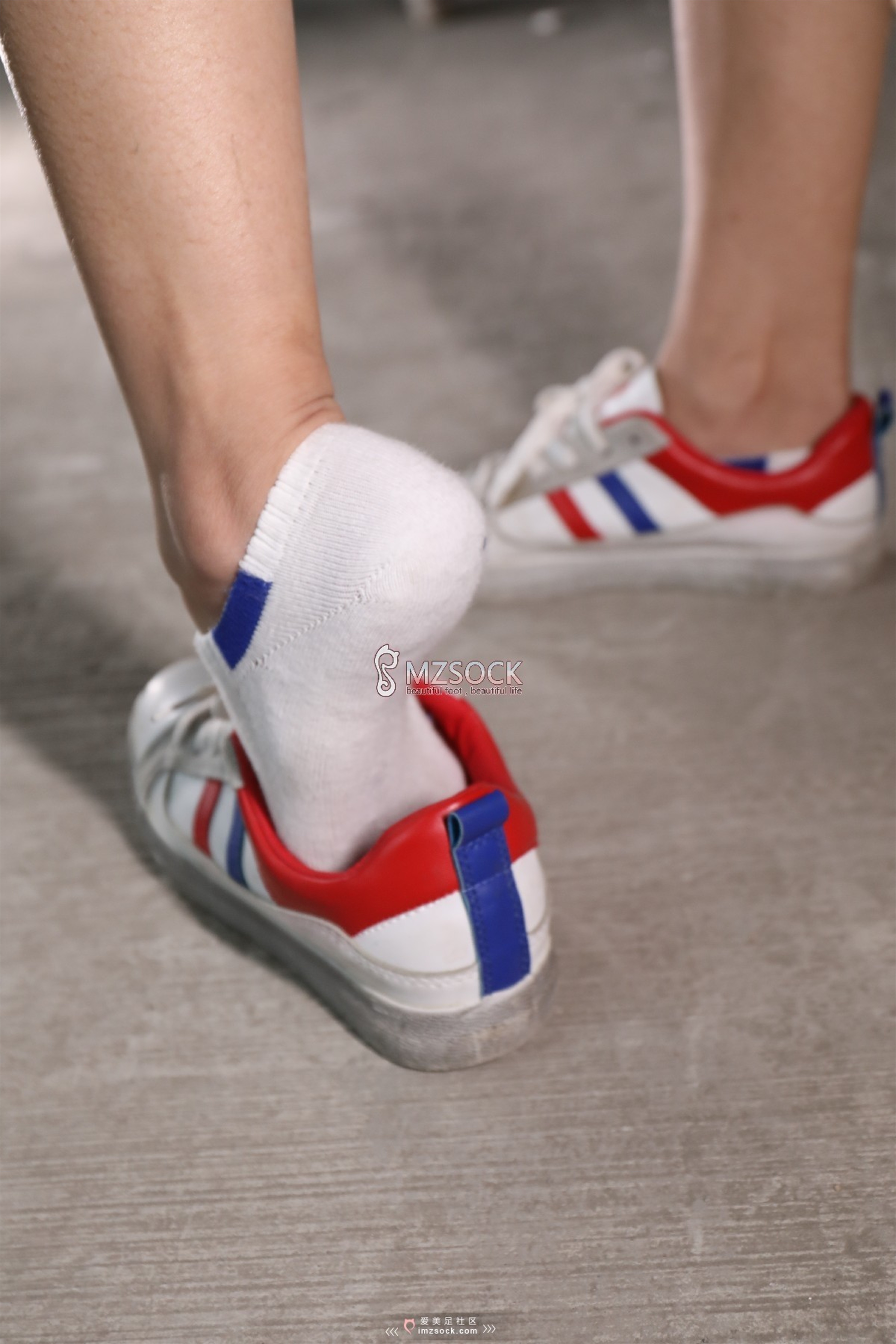 图片[20]-[MZSOCK]爱美足 NO.066 叮叮[102P238M]-六色网