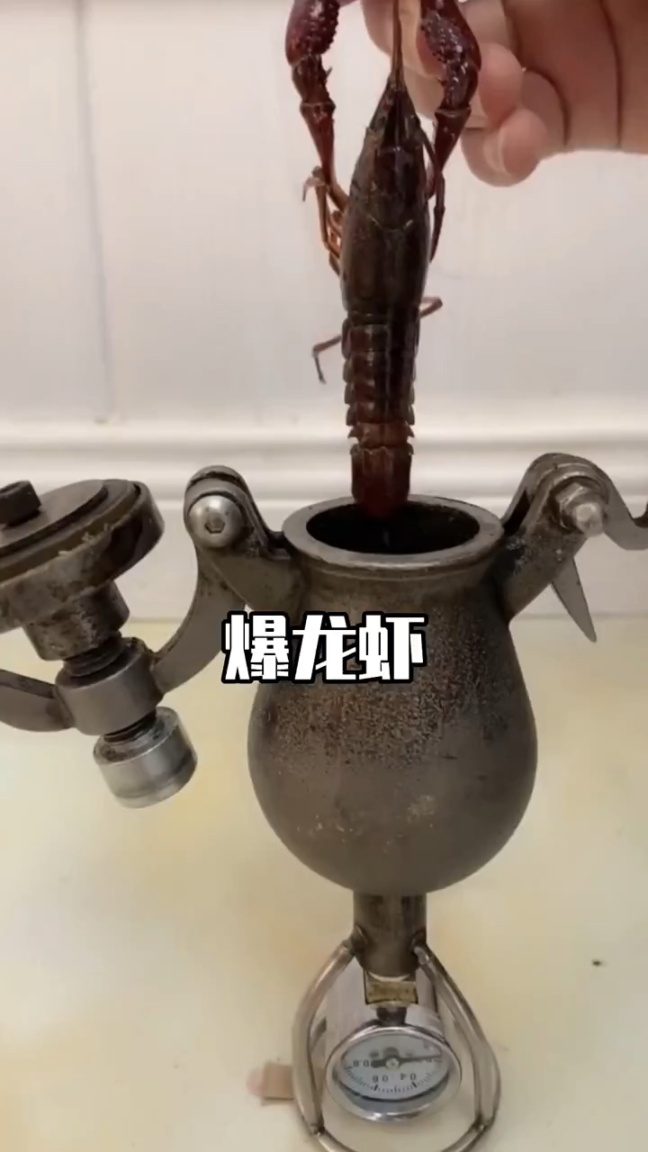 爆龙虾......这也太震撼了吧