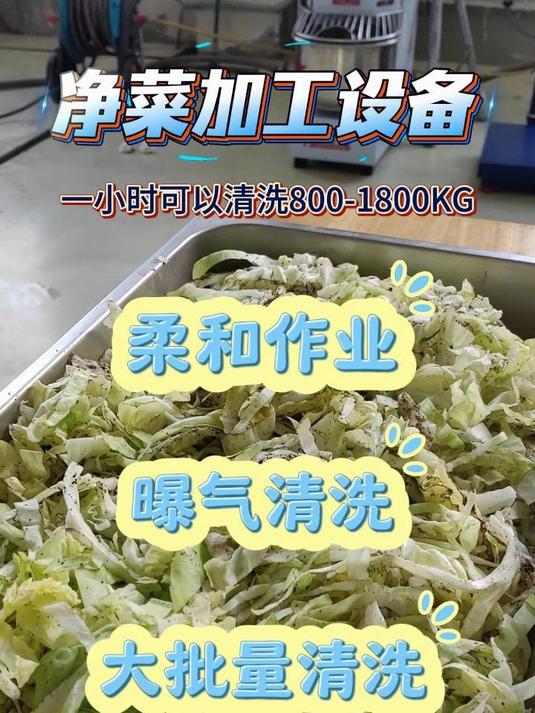 净菜加工设备