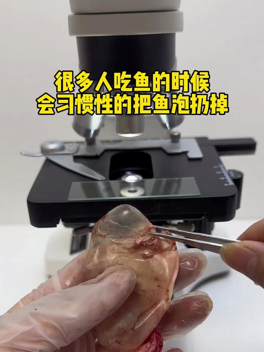 老铁们,你们爱吃鱼泡吗?知道吃鱼泡有哪些好处吗?