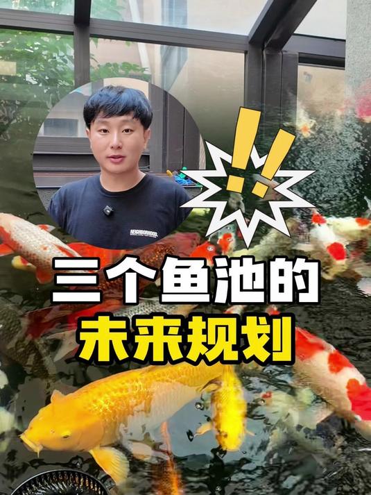三个鱼池的未来规划，我的鱼终于快回家了！