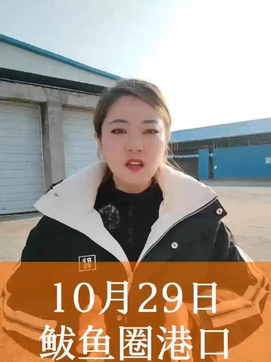 10月29日鲅鱼圈港口玉米价格动态