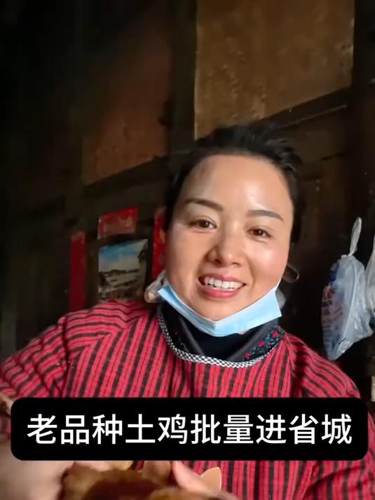 老品种土鸡批量进省城
