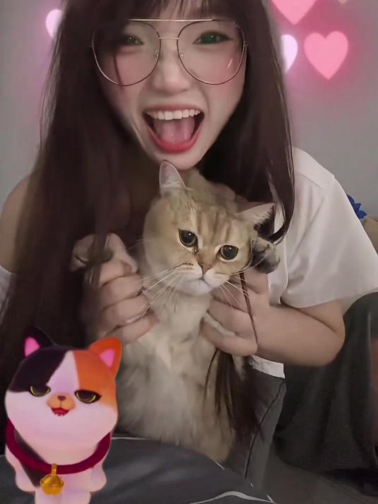 当流浪小猫咪拟人化