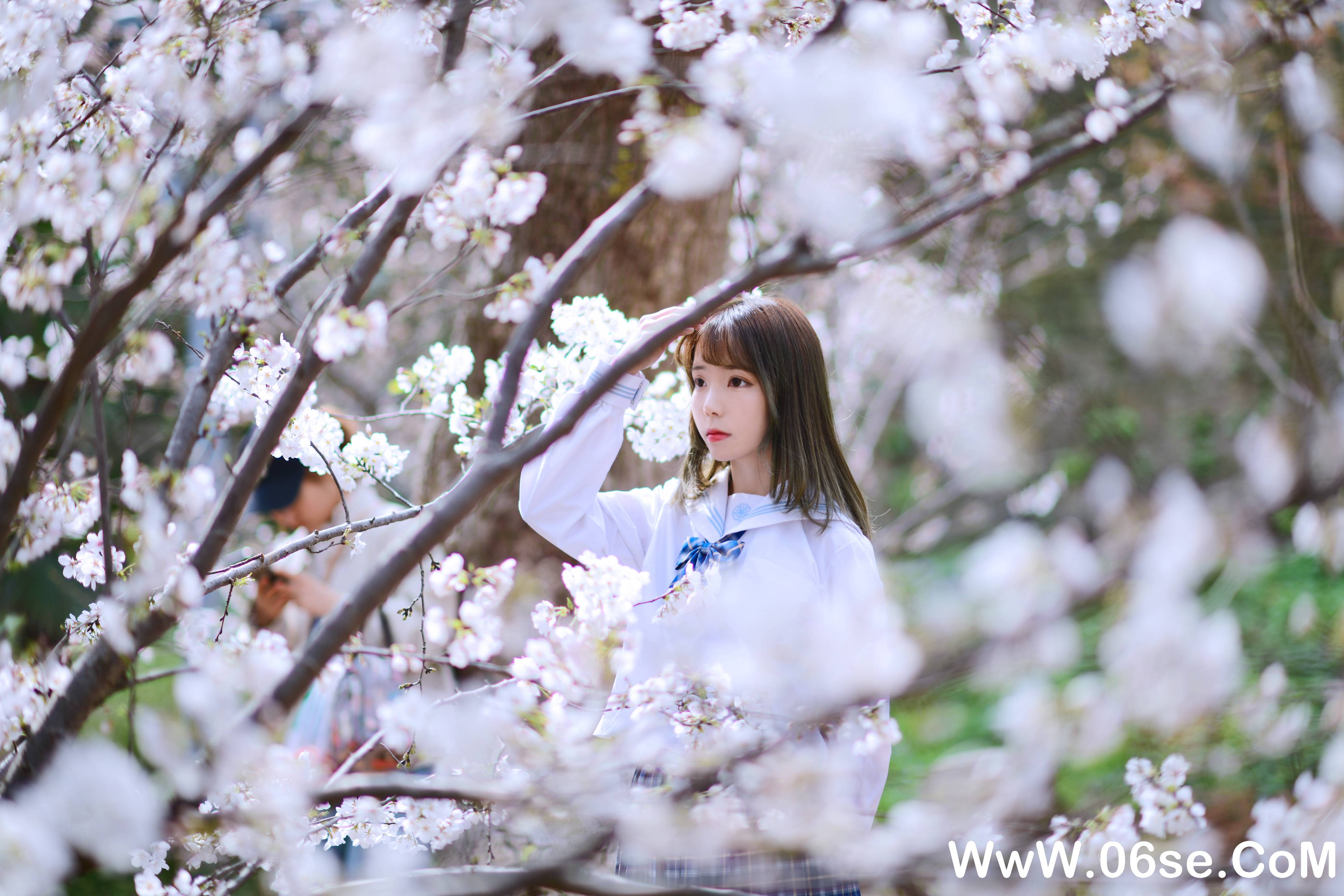 图片[17]-Fushii_海堂 NO.010 — 樱花树下[41P266M]-六色网
