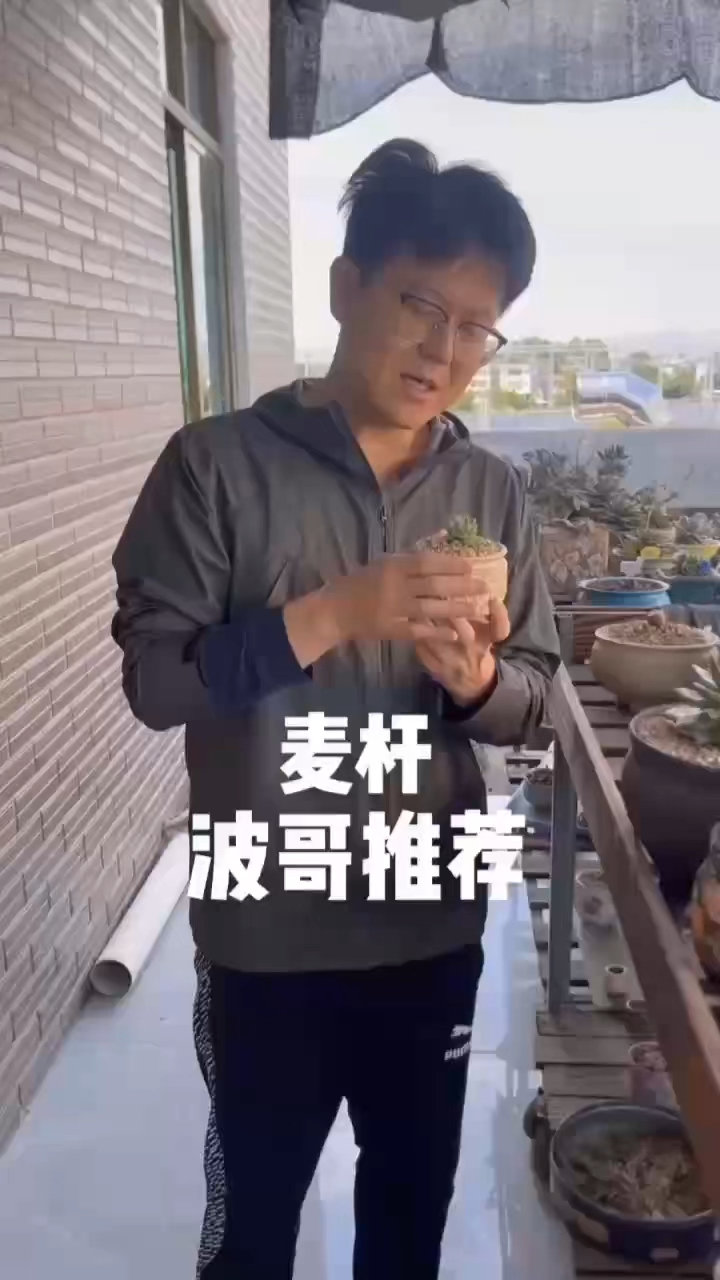 爱多肉爱生活