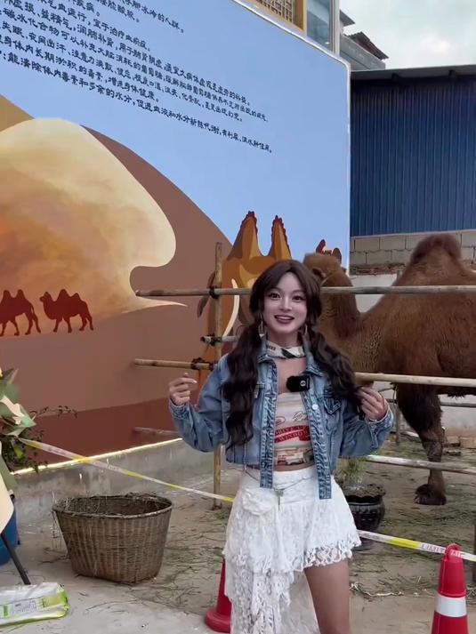 骆驼肉！在大理也能吃到来自内蒙古的沙漠骆驼了