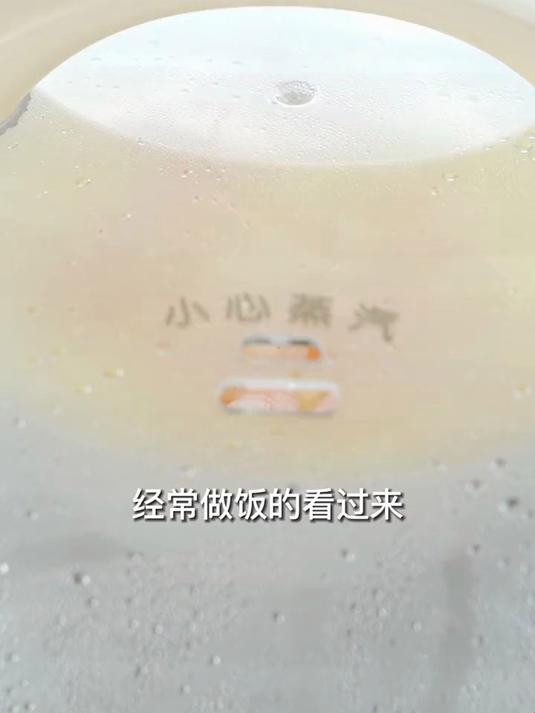 家用多功能电蒸锅
