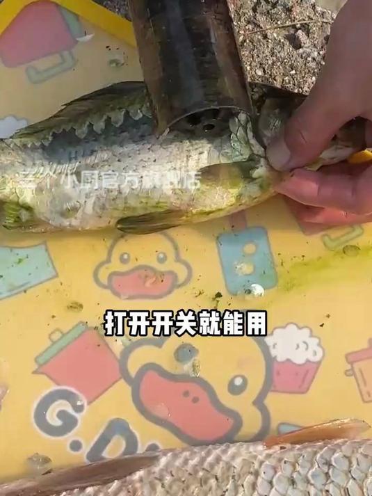 你不会还这样刮鱼鳞吧,这款电动刮鱼鳞神器,只要是鱼你就交给他