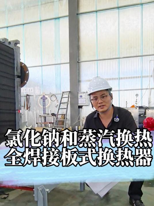 氯化钠和蒸汽换热用 卧式全焊接板式换热器