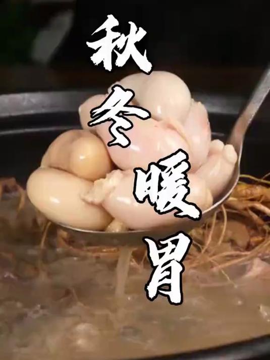 秋冬的幸福,由暖胃的水鱼鸡煲开始