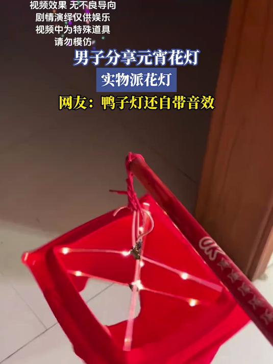 男子分享元宵花灯,实物派花灯,网友:鸭子灯还自带音效