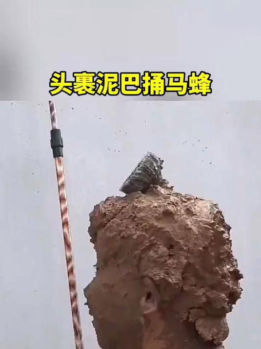 头是裹满泥巴捅马蜂窝,结局亮了