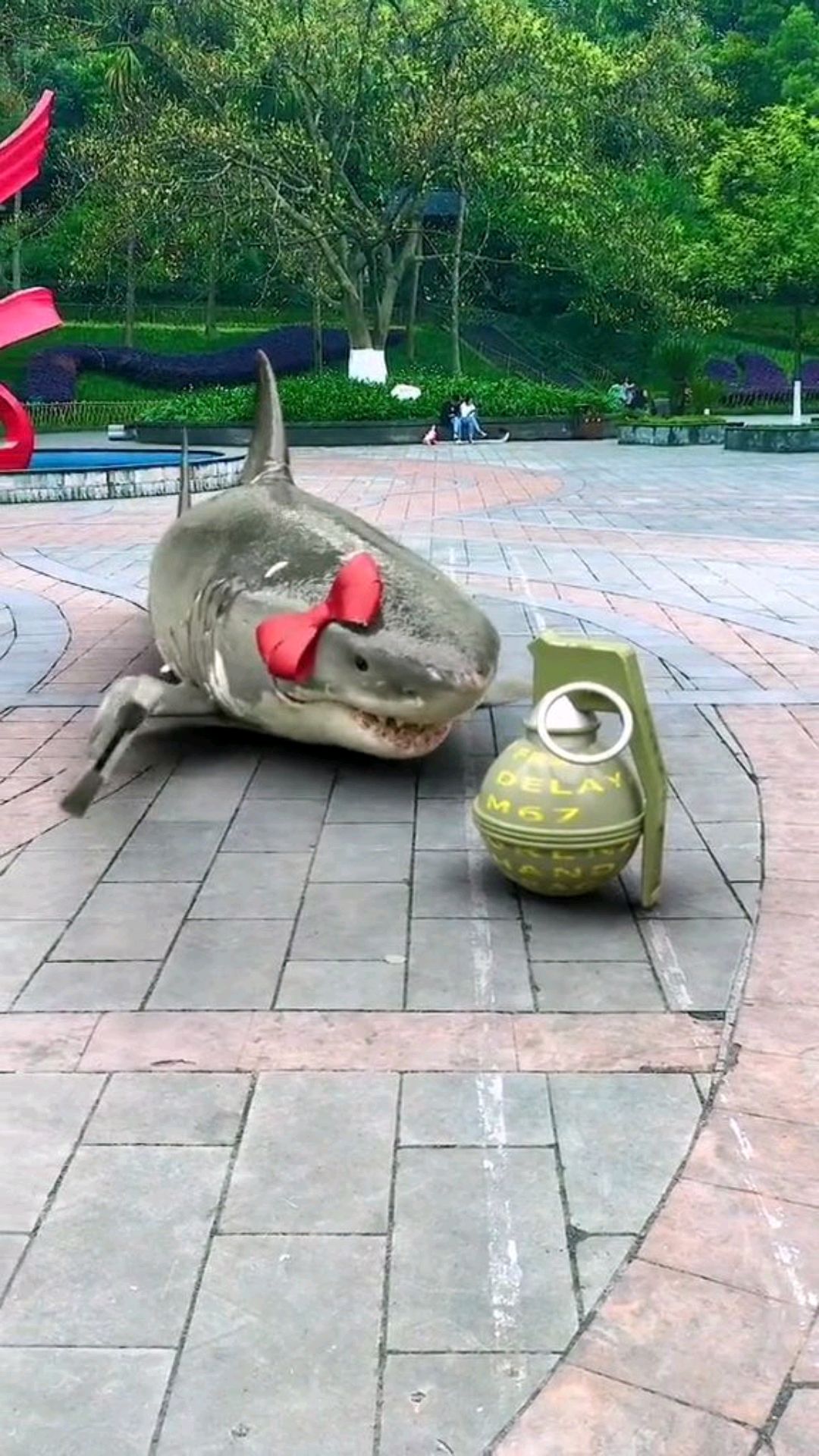 好可爱的大鱼