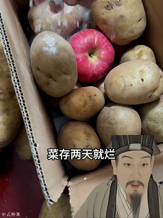 菜存两天就烂？教你卖菜老板打死不说的绝招！