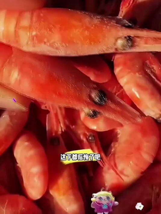 北极甜虾供应,品质海鲜在此