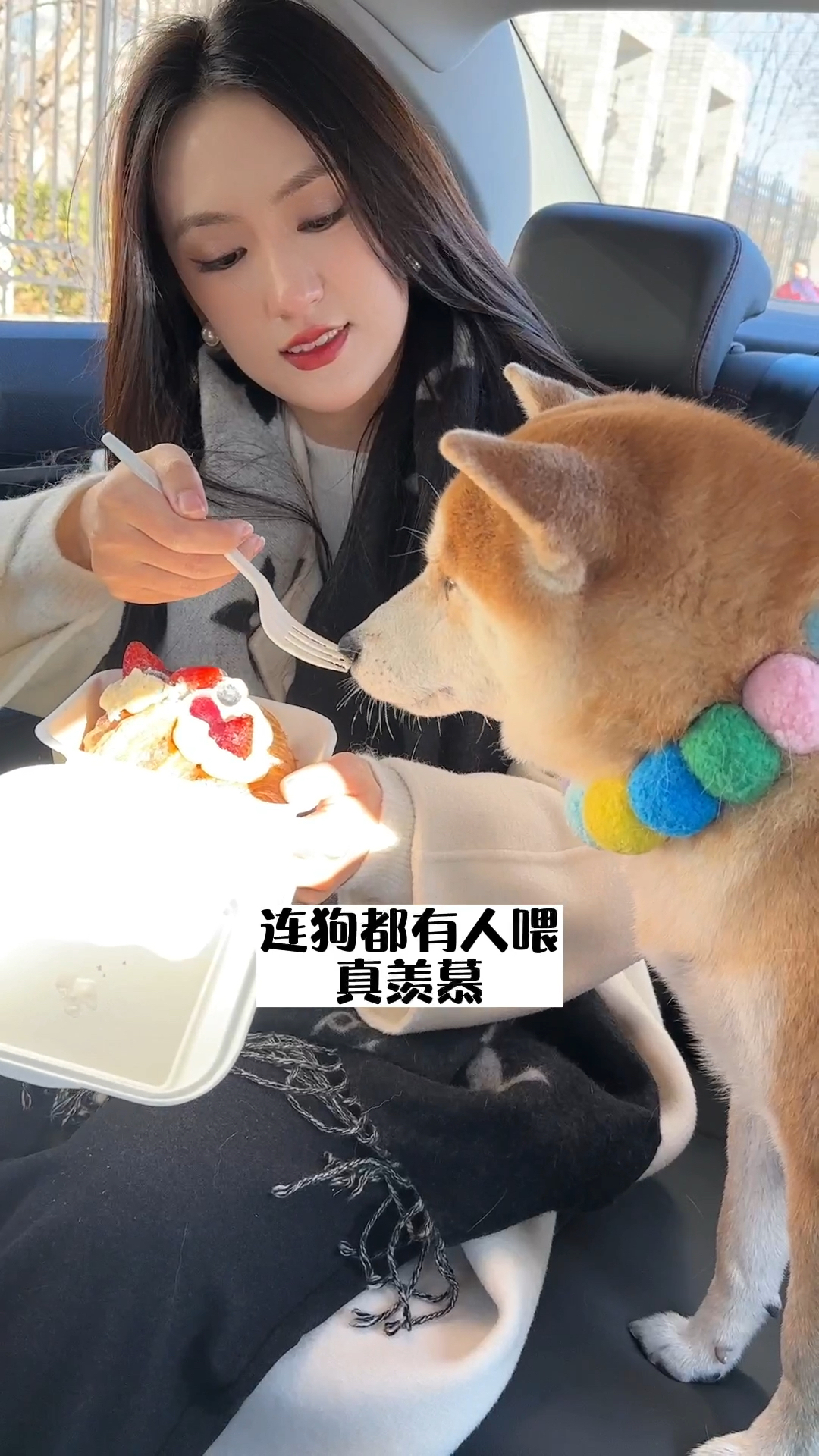 买了新车还免费吃了蛋糕,开心!