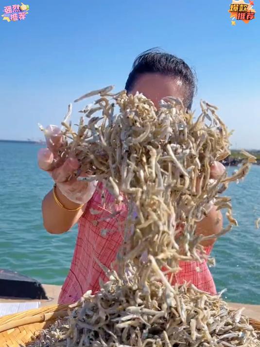 见都很难见到的小公鱼干_又叫海燕鱼干