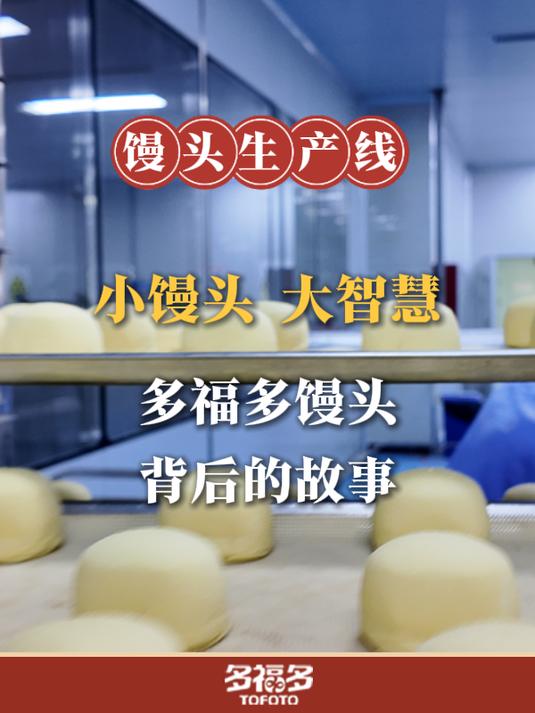 小馒头,大智慧,揭开多福多馒头背后的故事
