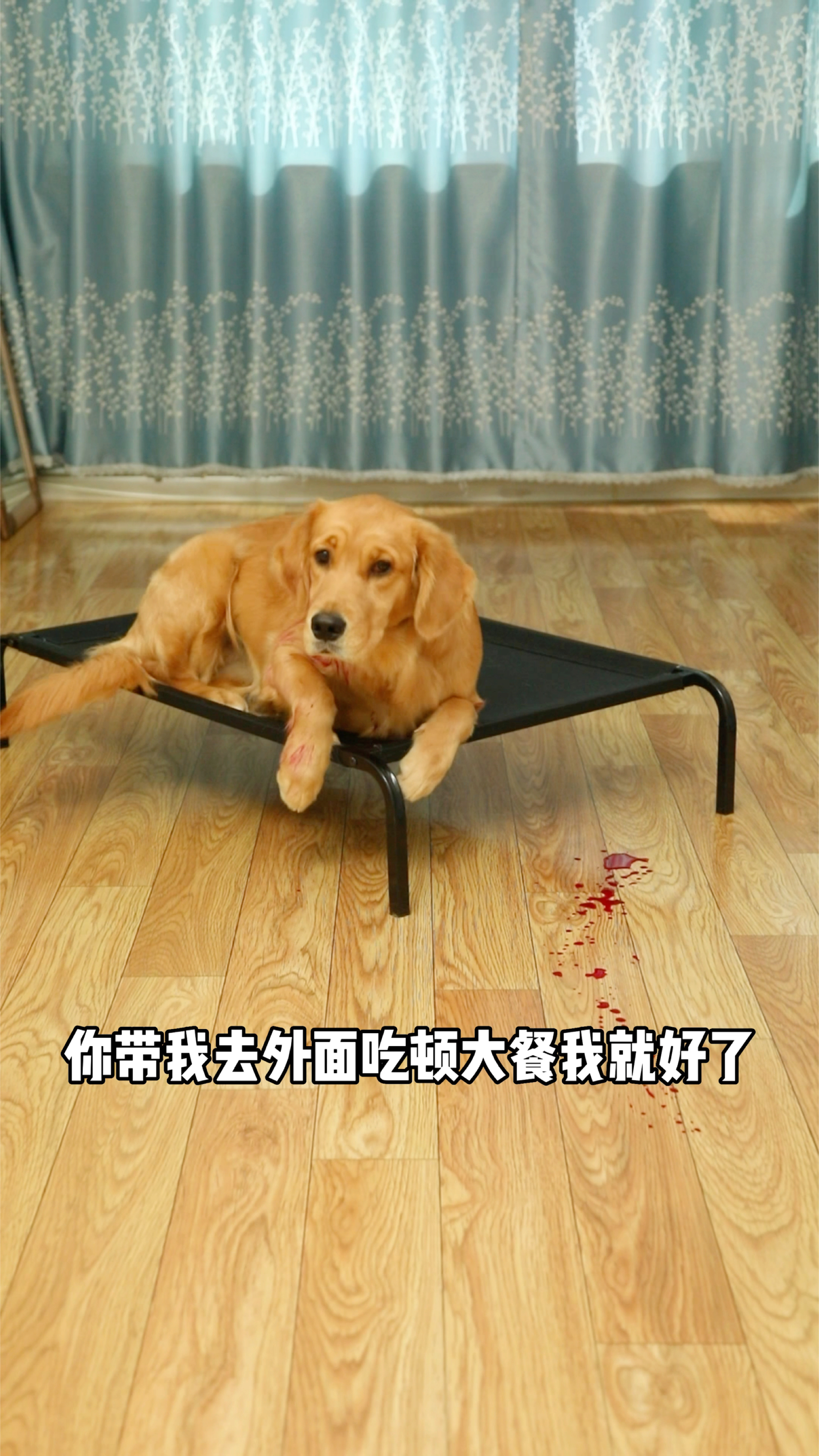 奶茶的小心机