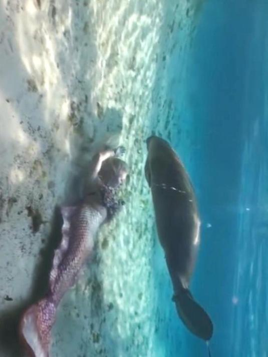 地球上真有美人鱼吗?1975年印度曾说抓到一只活的,结果始料未及