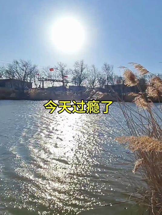 冬季野钓鲫鱼调三目钓三目钓顿原理状态分享漂像明晰干脆