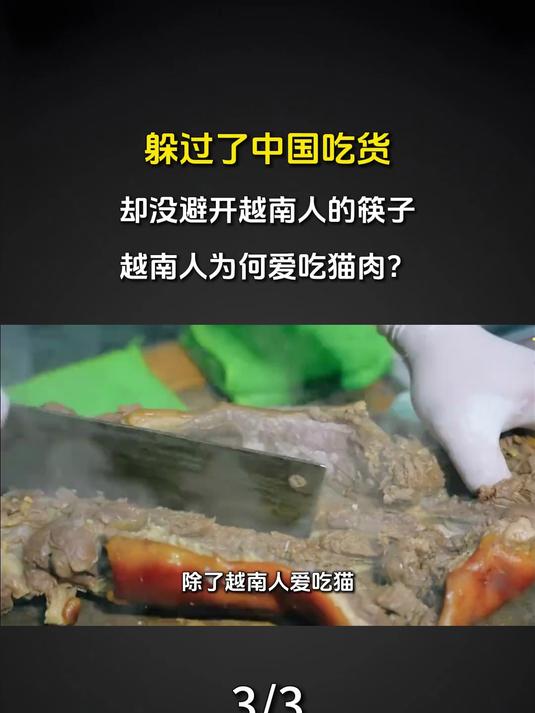 躲过了中国吃货，却没避开越南人的筷子，越南人为何爱吃猫肉 118