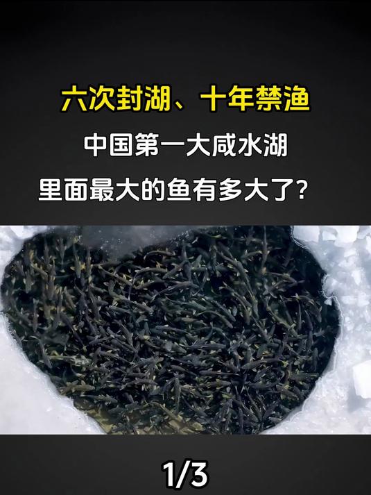 六次封湖、十年禁渔，中国第一大咸水湖，里面最大的鱼有多大了？