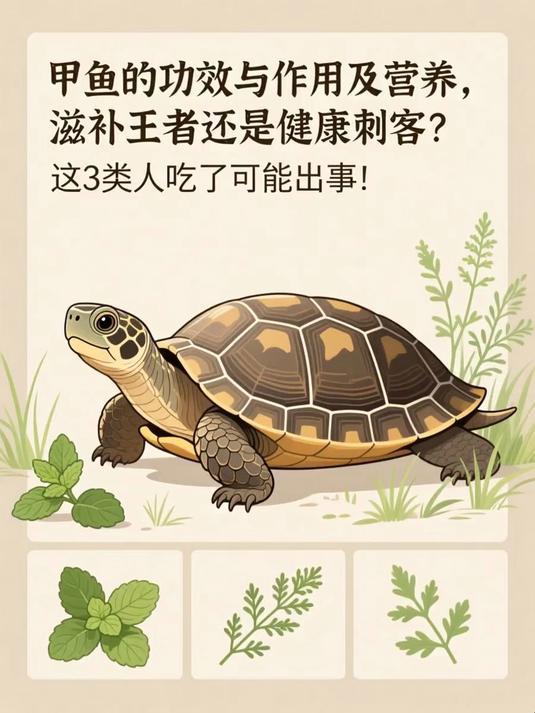 甲鱼的功效与作用及营养,滋补王者还是健康刺客?这3类人吃了可能出事!#健康扬帆季#