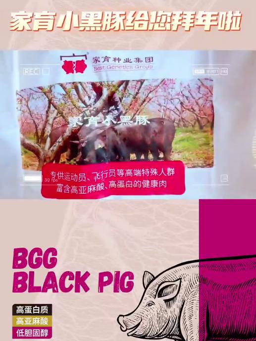用爱烹饪,高品质猪肉就选家育小黑豚!家育种业祝大家再创辉煌!