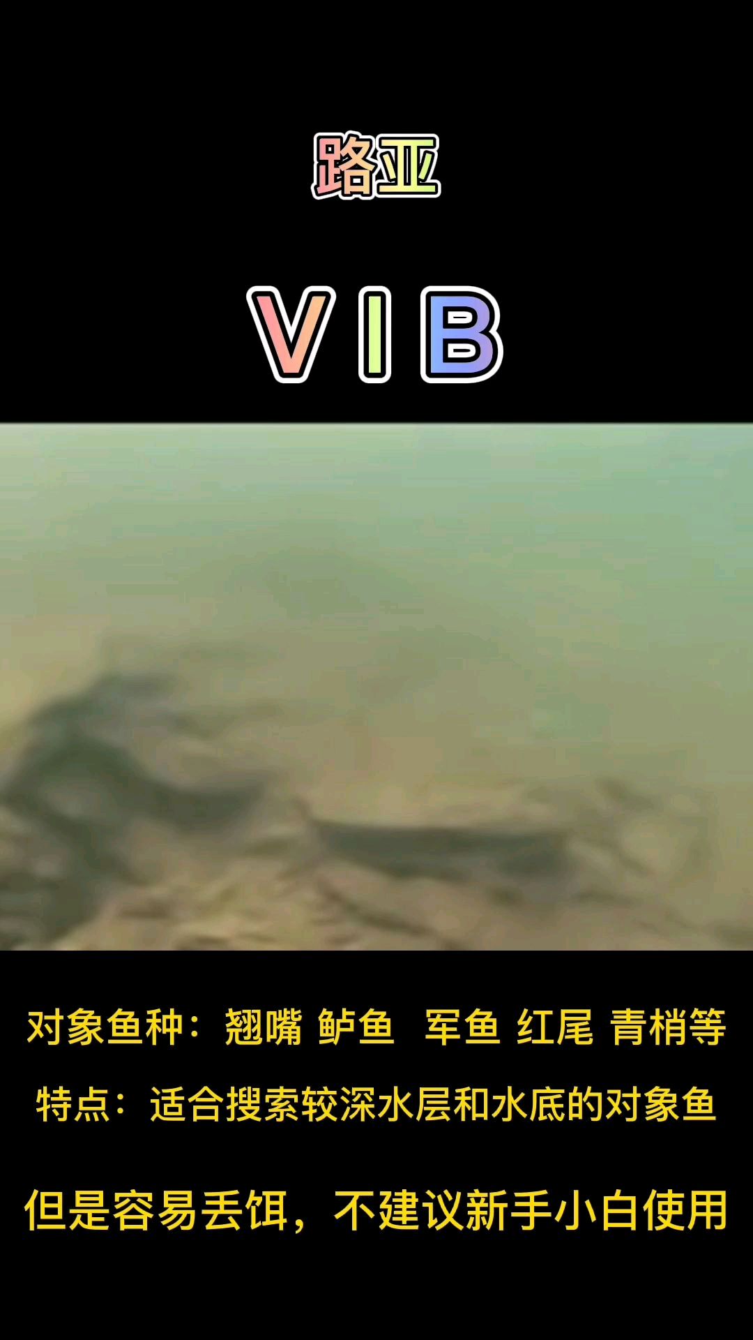 路亚小白必看的,路亚用饵基础。