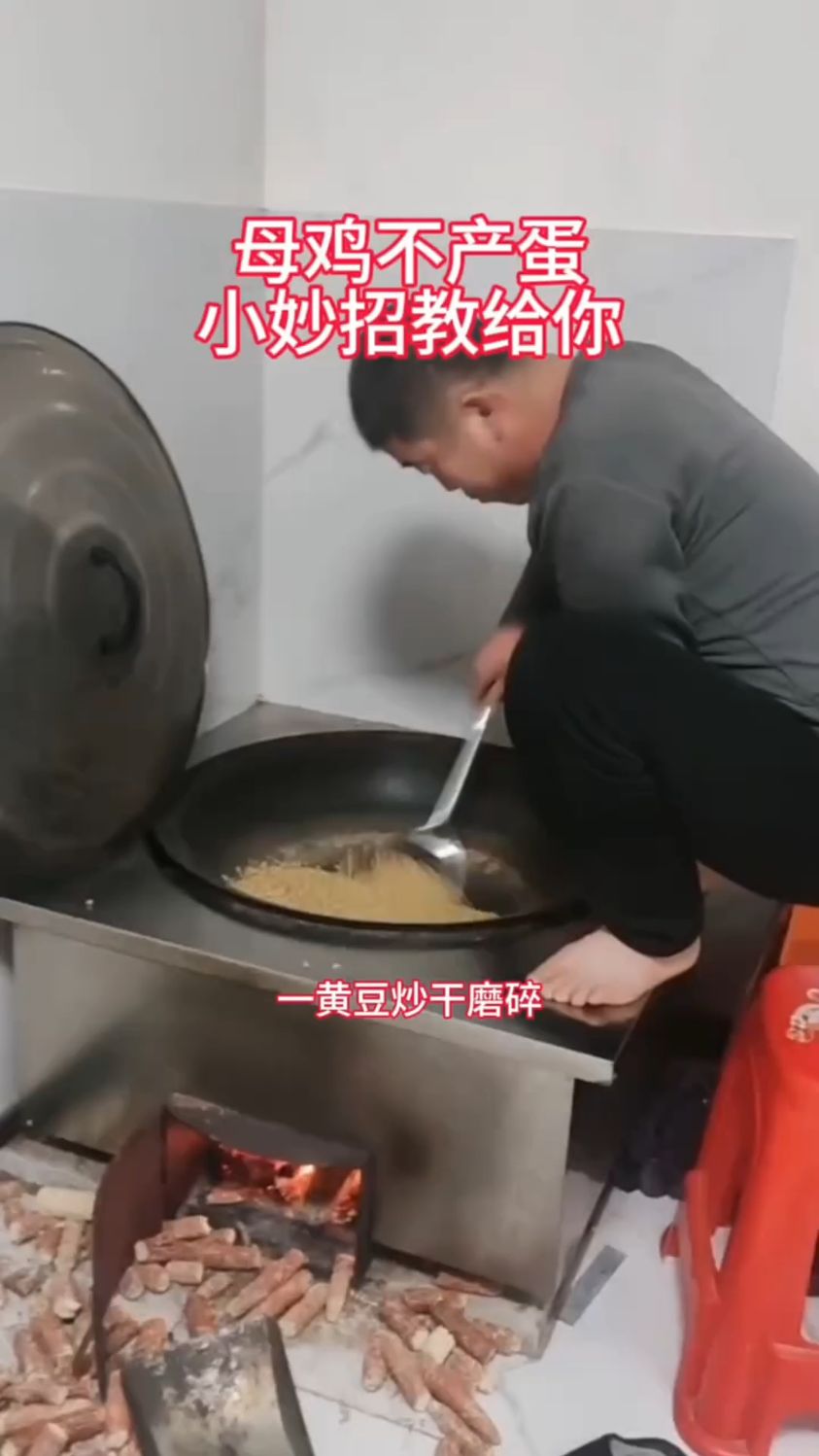 母鸡不产蛋,小妙招教给你