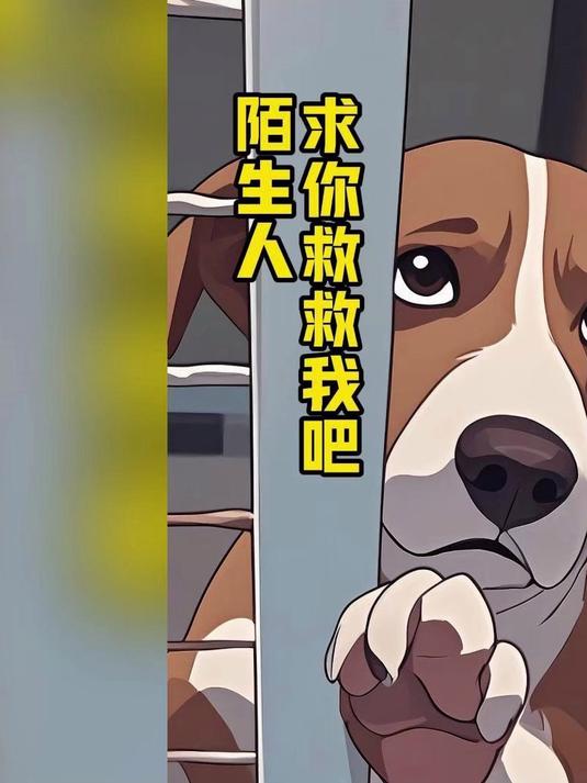 狗肉馆即将被宰杀的狗狗不停挥手求救