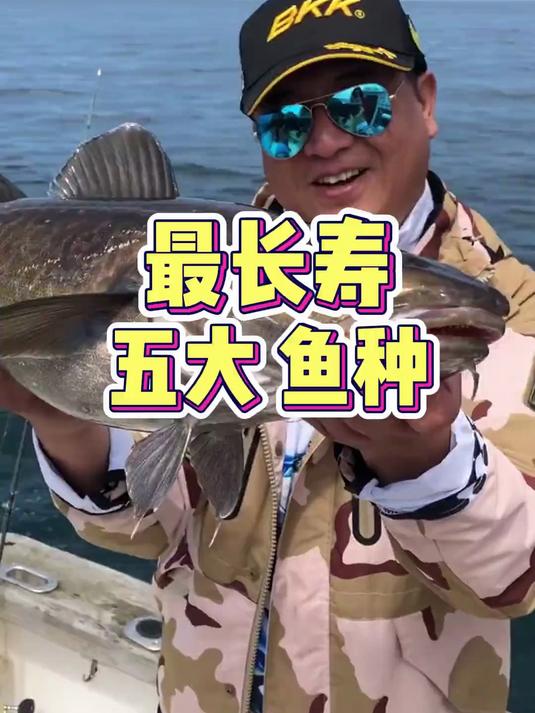 最长寿的五种鱼有哪些?最长寿鱼种介绍!