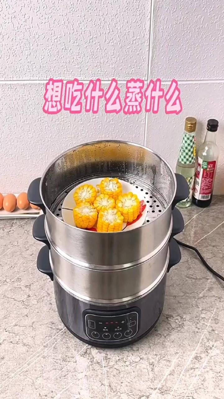 美的(Midea)电蒸锅 家用多用途锅电煮锅