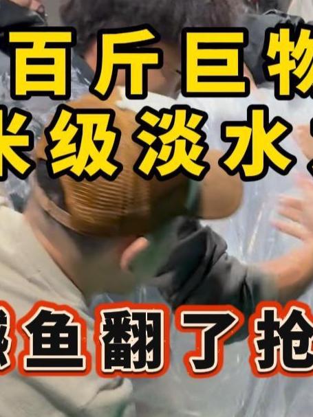 淡水之王命悬一线！极限抢救！超米级鳡鱼能否逃过这一劫？最后……