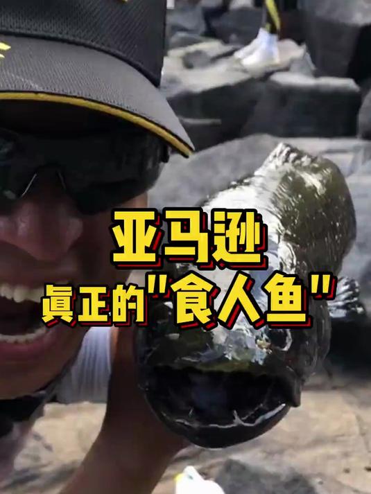 亚马逊真正的“食人鱼”！亚马逊的的秘密！