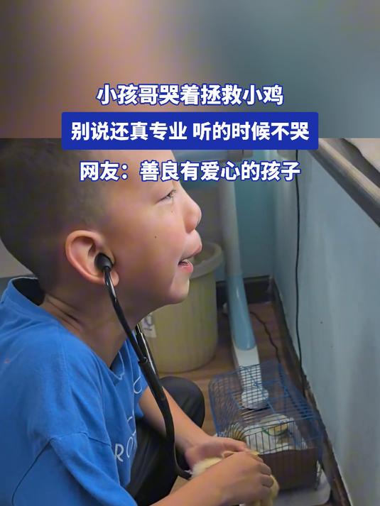 小孩哥哭着拯救小鸡,别说还真专业,听的时候不哭